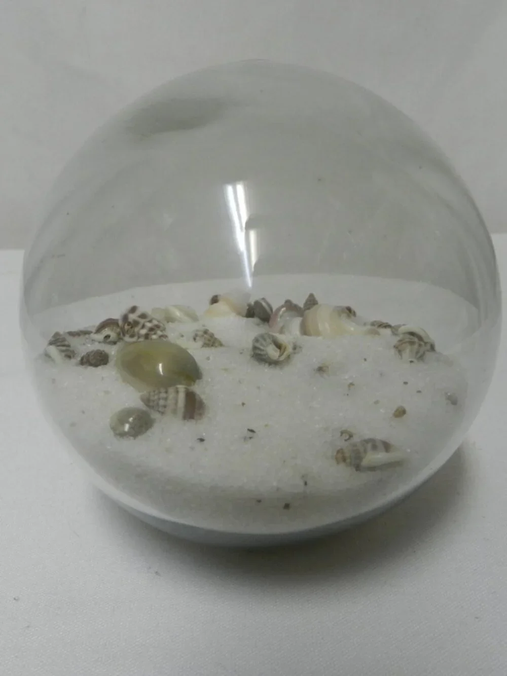 Pier One 1 Vintage Coastal Home Orb Clear Glass w/ Sea Shells 3.5